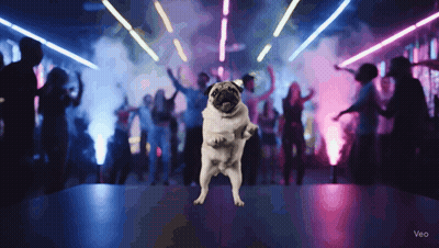 A Pug Dog Stands On Its Hind Legs In Front Of A Crowd Of People Dancing GIF