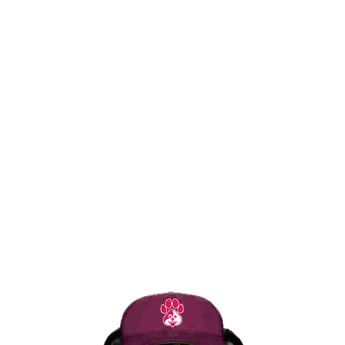 A Pug Dog Wearing A Purple Hat Is Holding A Yellow Box That Says Patinha Pelucia Sticker
