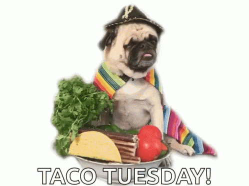 A Pug Dog Wearing A Sombrero Is Sitting In A Bowl Of Tacos GIF
