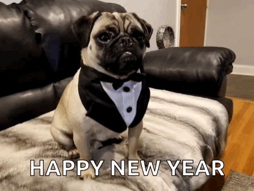 A Pug Dog Wearing A Tuxedo Sitting On A Couch With The Words Happy New Year Written Below It GIF