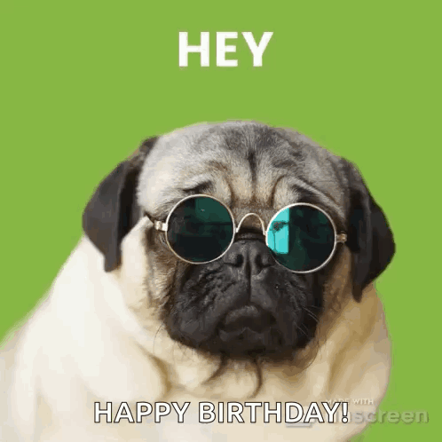 A Pug Dog Wearing Sunglasses And A Happy Birthday Greeting . GIF