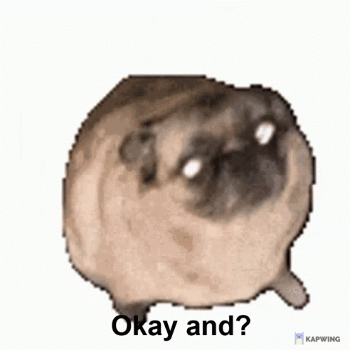 A Pug Dog With A Speech Bubble Says Okay And ? GIF