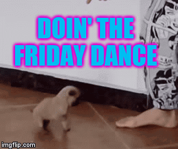 A Pug Puppy Is Walking Next To A Woman 'S Foot With The Words Doin ' The Friday Dance Above It GIF