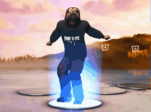 A Pug Wearing A Black Hoodie That Says For Aite GIF