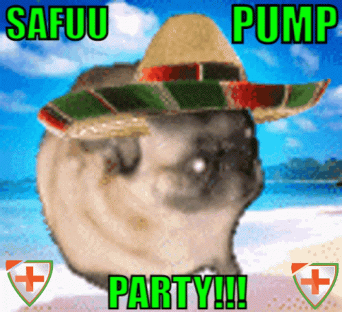 A Pug Wearing A Sombrero And Sunglasses Says Safuu Pump Party GIF