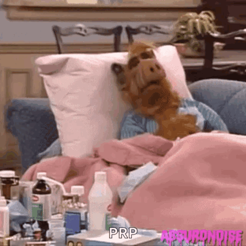 A Puppet Is Laying On A Couch With A Blanket And A Bottle Of Prp . GIF
