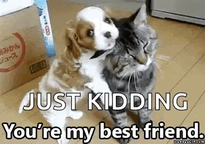A Puppy And A Cat Are Hugging Each Other On The Floor . GIF