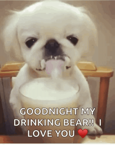 A Puppy Drinking Milk From A Glass With The Words " Goodnight My Drinking Bear !! I Love You " GIF