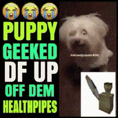 A Puppy Geeked Df Up Off Dem Healthpipes GIF