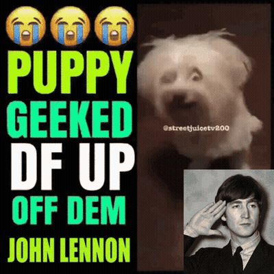 A Puppy Geeked Df Up Off Dem John Lennon GIF