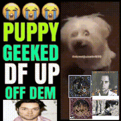 A Puppy Geeked Df Up Off Dem Poster GIF