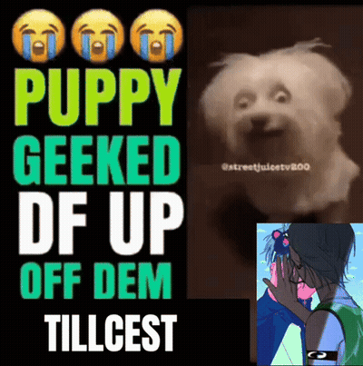 A Puppy Geeked Df Up Off Dem Tillcest Poster GIF