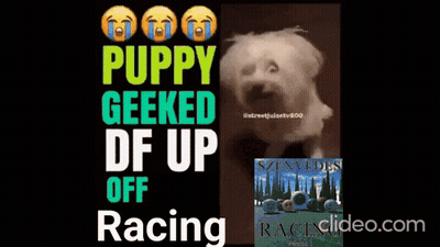 A Puppy Geeked Df Up Off Racing Ad GIF