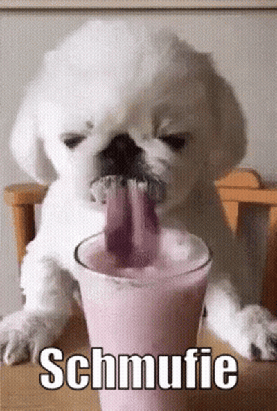 A Puppy Is Drinking A Milkshake From A Glass . GIF