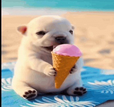 A Puppy Is Eating A Pink Ice Cream Cone On The Beach GIF
