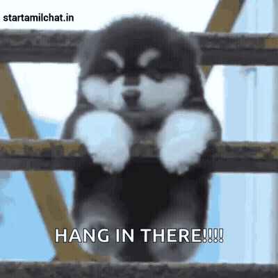 A Puppy Is Hanging On A Railing With The Words Hang In There !!! GIF