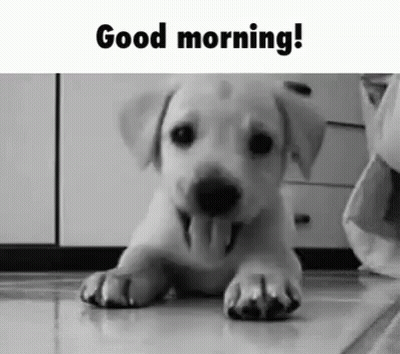 A Puppy Is Laying On The Floor With Its Tongue Out And The Words `` Good Morning '' Written Above It . GIF