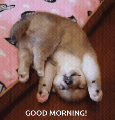 A Puppy Is Laying Upside Down On Its Back With The Words Good Morning Below It GIF