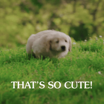 A Puppy Is Running In The Grass With The Words That 'S So Cute GIF