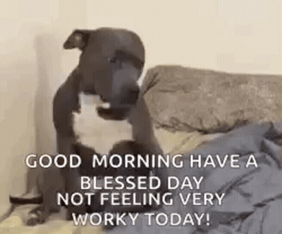 A Puppy Is Sitting On A Bed With The Words `` Good Morning Have A Blessed Day Not Feeling Very Worky Today '' . GIF