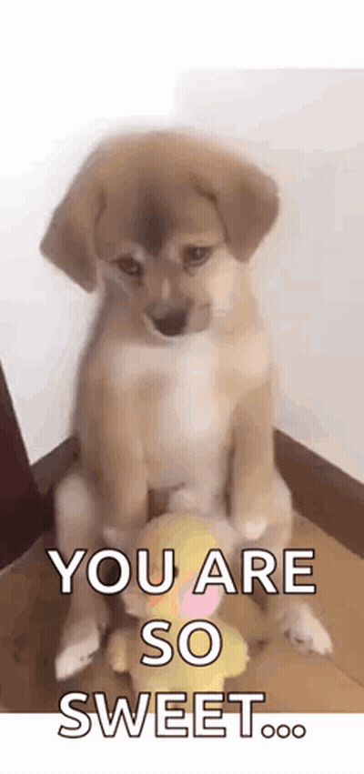 A Puppy Is Sitting On The Floor Next To A Stuffed Animal And Saying `` You Are So Sweet . '' GIF