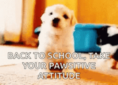 A Puppy Is Sitting On The Floor With The Words Back To School Take Your Pawsitive Attitude Written Below It . GIF