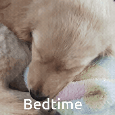 A Puppy Is Sleeping On A Blanket With The Word Bedtime Written Below It GIF