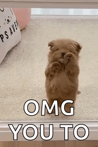A Puppy Is Standing On Its Hind Legs And Looking Out A Window . GIF