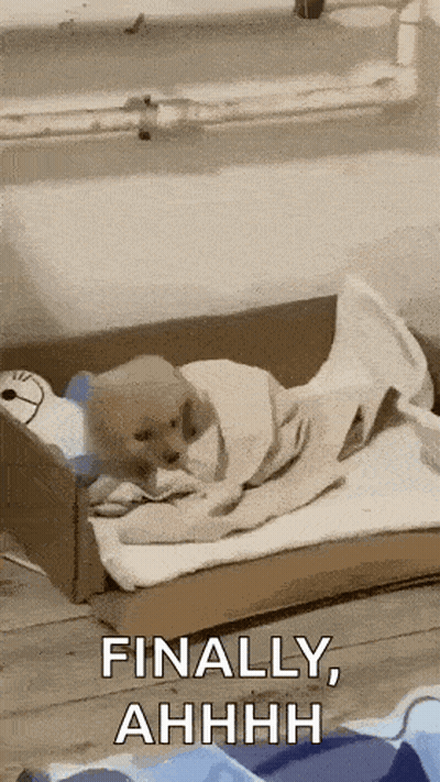 A Puppy Is Wrapped In A Blanket In A Cardboard Box With The Words Finally Ahhhh Below It GIF