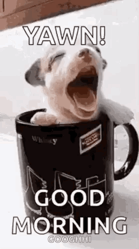 A Puppy Is Yawning In A Coffee Mug And Says Good Morning . GIF