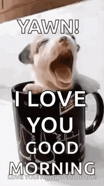 A Puppy Is Yawning In A Coffee Mug And Says `` I Love You Good Morning '' . GIF