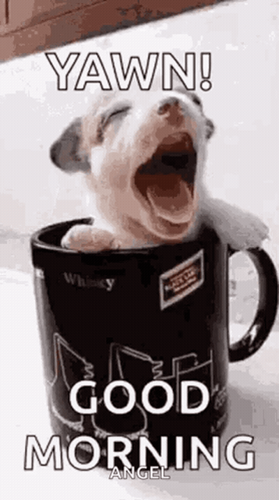 A Puppy Is Yawning In A Coffee Mug And Says `` Yawn ! Good Morning '' . GIF