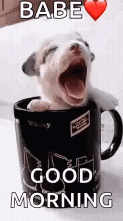 A Puppy Is Yawning In A Coffee Mug With The Words `` Babe Good Morning '' . GIF