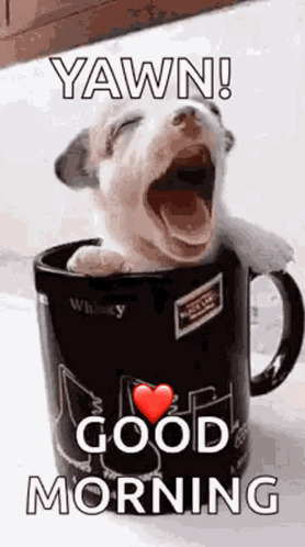 A Puppy Is Yawning In A Coffee Mug With The Words `` Yawn ! Good Morning '' . GIF