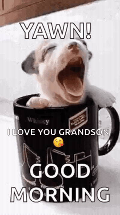 A Puppy Is Yawning In A Cup Of Whiskey . GIF