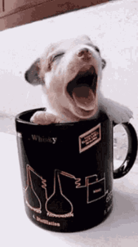 A Puppy Is Yawning While Sitting In A Whisky Mug . GIF