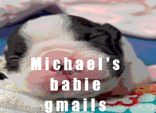A Puppy Laying On A Blanket With The Words Michael 'S Babie Gmails Above It GIF