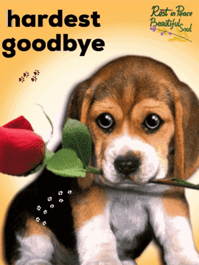 A Puppy With A Rose In Its Mouth And The Words " Hardest Goodbye " On The Bottom GIF