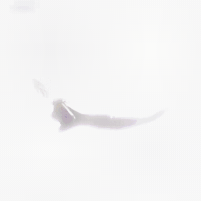 A Purple And Blue Silhouette Of A Person On A Purple Surface GIF