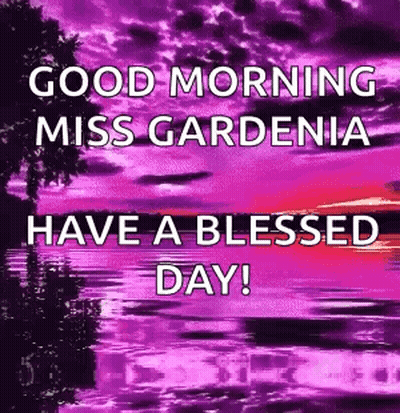 A Purple And Pink Sunset With The Words `` Good Morning Miss Gardenia Have A Blessed Day '' . GIF