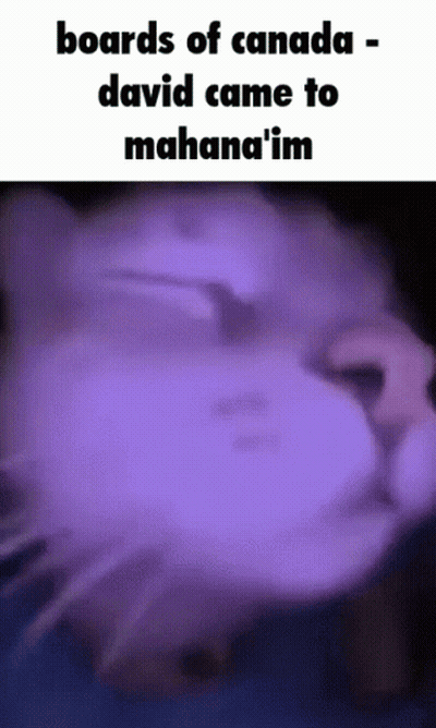 A Purple Background With The Words Boards Of Canada - David Came To Mahana 'Im GIF