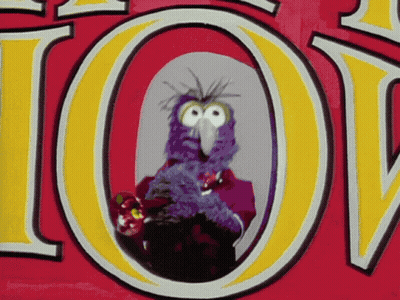 A Purple Bird Is Holding A Flower In Front Of The Letter O. GIF