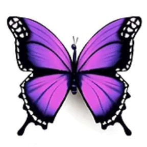 A Purple Butterfly With Black Wings Is Sitting On A White Surface . GIF