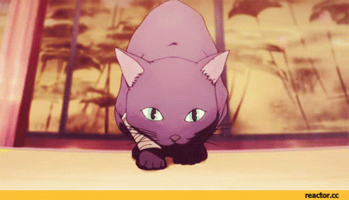 A Purple Cat With A Bandage Around Its Neck Is Walking On A Wooden Floor GIF