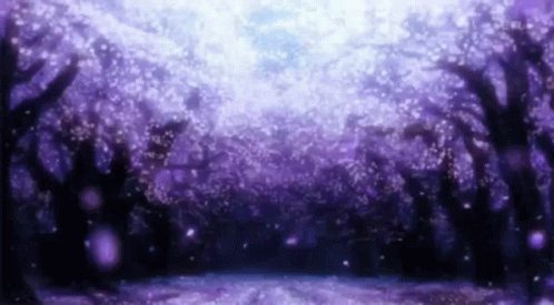 A Purple Cherry Blossom Forest With Flowers Falling From The Trees . GIF