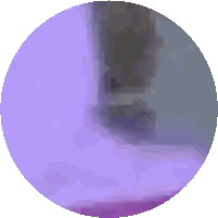 A Purple Circle With A Blurred Image Of A Room Sticker