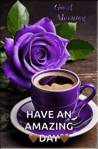 A Purple Cup Of Coffee And A Purple Rose On A Saucer With The Words `` Good Morning Have An Amazing Day '' . GIF