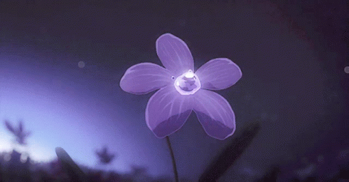 A Purple Flower Is Glowing In The Dark GIF