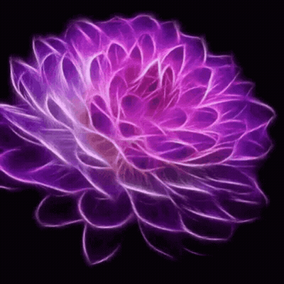 A Purple Flower Is Glowing On A Black Background . GIF