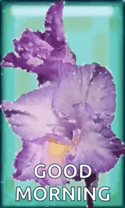 A Purple Flower Is On A Blue Background With The Words `` Good Morning '' . GIF